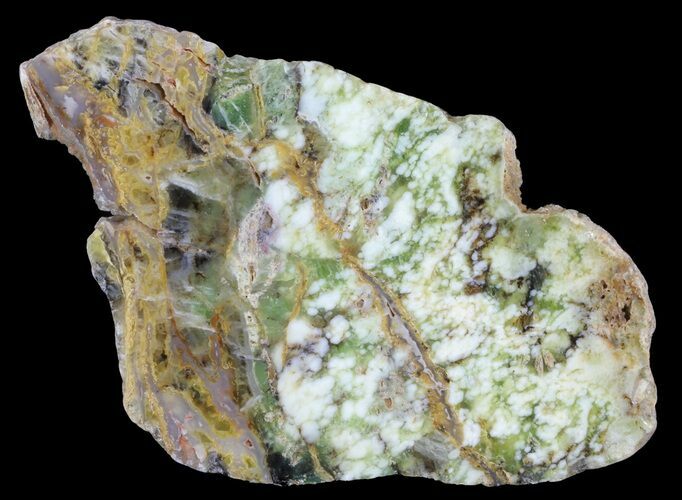 Polished Green-White Opal Slab - Western Australia #65405